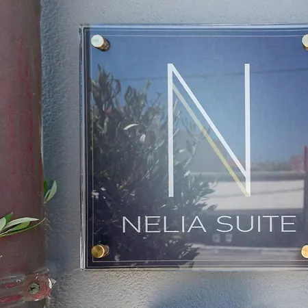 Nelia Appartement *