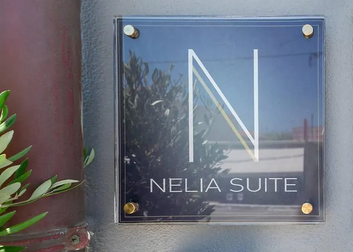 Nelia Apartman *
